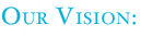 Our Vision